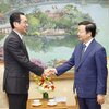 Việt Nam - Nhật Bản thúc đẩy cơ chế tài chính trong các dự án chuyển đổi năng lượng xanh