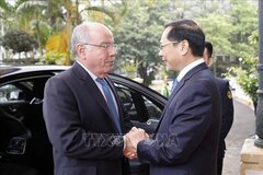 Củng cố, thúc đẩy quan hệ Đối tác toàn điện Việt Nam - Brazil