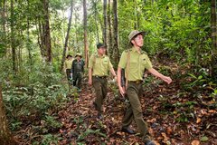 Đề xuất sửa đổi quy định về Kiểm lâm và Lực lượng chuyên trách bảo vệ rừng