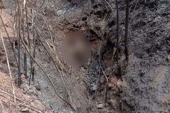 Điện Biên: Phát hiện thi thể 3 bố con chết cháy trong khe núi