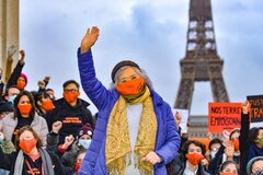 Hội Luật gia Dân chủ Quốc tế gửi thư ngỏ tới Tòa phúc thẩm Paris vụ kiện chất độc da cam của bà Trần Tố Nga