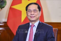 Phát triển quan hệ Đối tác chiến lược Việt Nam - Anh ngày càng hiệu quả và sâu rộng