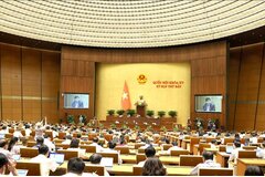 Đề xuất 2 nhóm cơ chế, chính sách đặc thù phát triển thành phố Đà Nẵng