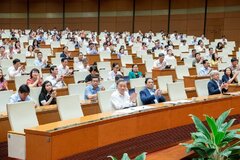 Quốc hội quyết định sẽ giám sát tối cao việc thực hiện chính sách, pháp luật về bảo vệ môi trường