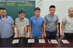 Bắt nhóm đối tượng đánh bạc bằng hình thức chọi trâu ở Nghệ An