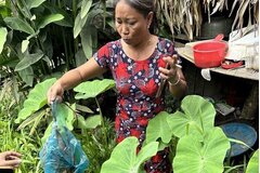 Người phụ nữ bị bắt vì mua bán, tàng trữ chồn bay