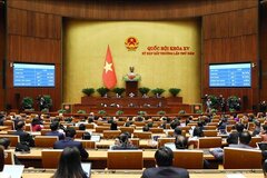 Triển khai Luật Đất đai 2024: Khẩn trương đưa chính sách mới vào cuộc sống