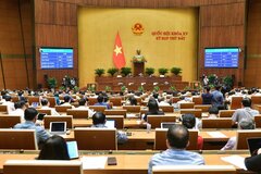 Thông qua Nghị quyết về việc thành lập Đoàn giám sát chuyên đề của Quốc hội năm 2025