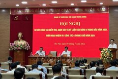 Tăng cường hiệu lực, hiệu quả công tác kiểm tra, giám sát, kỷ luật của Đảng