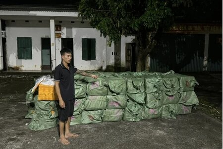 Bắt giữ hơn 3 tấn nầm lợn không rõ nguồn gốc ở Quảng Ninh