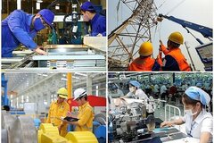 12 lĩnh vực kế hoạch và đầu tư người có chức vụ không được thành lập doanh nghiệp sau khi thôi chức