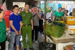 Quảng Ninh: Bắt khẩn cấp đối tượng trộm cắp tài sản ở TP.Móng Cái