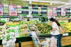 Thủ tướng: Tăng cường mức tín dụng cho vay phục vụ đời sống, tiêu dùng