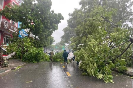 Bão số 3 đã làm 4 người thiệt mạng, nhiều tỉnh mất điện, hàng nghìn cây xanh bị đổ