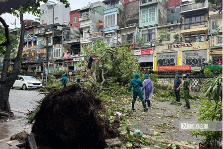 Chủ tịch UBND TP.Hà Nội yêu cầu tập trung xử lý giao thông, cấp điện, tiêu nước sau bão