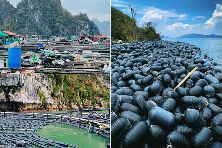 Thủ tướng yêu cầu tập trung triển khai các biện pháp nhanh chóng phục hồi sản xuất nông nghiệp sau bão số 3 và mưa lũ