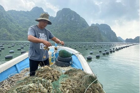 Công điện của Thủ tướng Chính phủ về đẩy mạnh khôi phục sản xuất nông nghiệp sau bão số 3