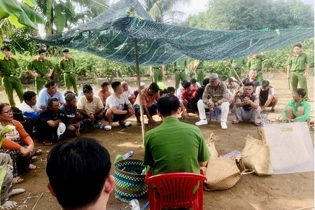 An Giang: Triệt xóa tụ điểm đá gà do Hiếu xì-po cầm đầu