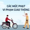 Những lỗi vi phạm giao thông thường gặp và mức phạt mới áp dụng từ 1/1/2025