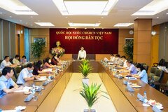 Nhiệm vụ, cơ cấu tổ chức của Hội đồng Dân tộc, các Ủy ban của Quốc hội