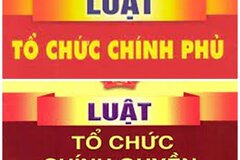 Triển khai các nhiệm vụ về đẩy mạnh phân quyền, phân cấp quy định tại Luật Tổ chức Chính phủ, chính quyền địa phương