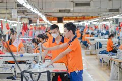 Tăng cường quản lý nguyên liệu đầu vào, ngăn chặn gian lận xuất xứ