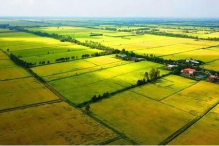 Quy định về mức xử phạt đối với hành vi lấn chiếm đất
