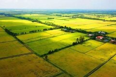 Quy định về mức xử phạt đối với hành vi lấn chiếm đất