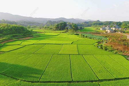 Trường hợp nào chuyển mục đích sử dụng đất không phải xin phép?