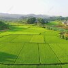 Trường hợp nào chuyển mục đích sử dụng đất không phải xin phép?