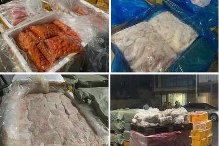 Phát hiện hơn 7 tấn thực phẩm đông lạnh không rõ nguồn gốc