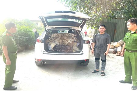 Ninh Bình: Khởi tố đối tượng buôn bán động vật nguy cấp, quý hiếm