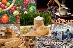 Tập trung chỉ đạo bảo đảm sản xuất, tiêu thụ, xuất khẩu nông lâm thủy sản trong bối cảnh biến động thương mại toàn cầu