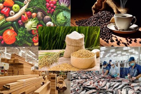 Tập trung chỉ đạo bảo đảm sản xuất, tiêu thụ, xuất khẩu nông lâm thủy sản trong bối cảnh biến động thương mại toàn cầu