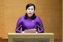 Đề xuất rút ngắn quy trình, thủ tục bầu cử sau sáp nhập tỉnh, xã
