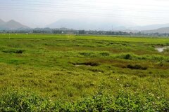 Đất bỏ hoang trong thời gian bao lâu sẽ bị mất quyền sử dụng đất?