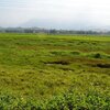 Đất bỏ hoang trong thời gian bao lâu sẽ bị mất quyền sử dụng đất?
