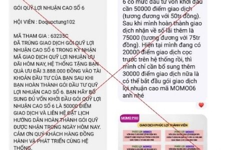 Người đàn ông mất hơn 300 triệu đồng khi đầu tư qua ứng dụng MoMo Pro giả mạo