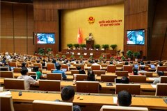 Sản xuất thuốc giả, thực phẩm giả 'không khác gì giết người hàng loạt'