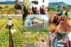 Thành lập Ban Chỉ đạo Trung ương các chương trình mục tiêu quốc gia giai đoạn 2021 - 2025