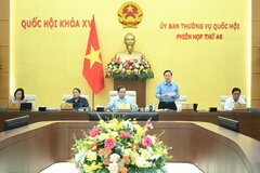 Hoàn thiện dự thảo Luật sửa đổi, bổ sung một số điều của Luật Tổ chức Tòa án nhân dân, trình Quốc hội xem xét, thông qua