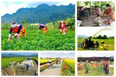 Kế hoạch tổng kết Chương trình mục tiêu quốc gia xây dựng nông thôn mới giai đoạn 2021 - 2025