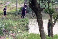 Phát hiện thi thể nam giới treo trên cây ở Hà Nội