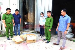 Phát hiện hơn 11 tấn thực phẩm đông lạnh không rõ nguồn gốc ở Bình Dương
