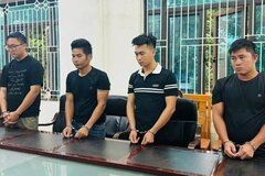 Khởi tố nhóm đối tượng buôn lậu gần 100.000 cây dó bầu