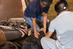 Bắt đối tượng sát hại chủ tiệm tạp hóa rồi cướp tài sản ở Đồng Nai