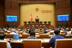 Quốc hội đồng ý bỏ án tử hình với 8 tội danh, có tội tham ô tài sản, nhận hối lộ