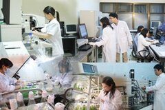 Đề xuất trình tự cấp giấy chứng nhận doanh nghiệp thành lập mới hoạt động công nghệ cao