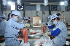 Mở rộng nhóm đối tượng tham gia bảo hiểm thất nghiệp từ 1/1/2026