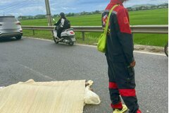 Điều tra vụ đâm bạn gái trọng thương rồi lao vào ô tô tải tự vẫn